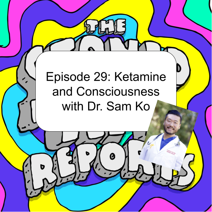 Episode 29: Ketamine and Consciousness with Dr. Sam Ko