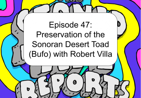 Episode 47: Preservation of the Sonoran Desert Toad (Bufo) with Robert Villa